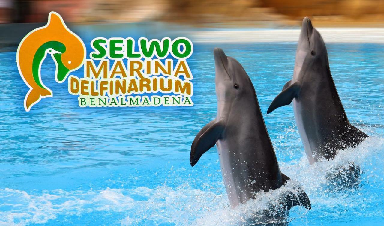 Apartamento Acuario Беналмадена Екстериор снимка